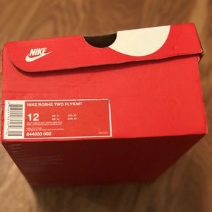 Nike Roshe Two Flyknit Size 12
